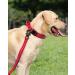 Joytale Tactical Dog Collar for Large Dogs | Handle & QR Code Dog Tag | Red XL - Durable Adjustable & Stylish - Buy Online on SooperMarket.com