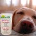 21 Pack Non-Toxic Natuclean 2000 Pet Odor Eliminator (2100g) - Buy Online on SooperMarket.com