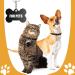 Buy Durable Aluminum Dog Tags & Trailers - 30 Pet ID Tags + 10 Chains for Dogs & Cats - Waterproof & DIY Friendly - Buy Online on SooperMarket.com