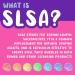 SLSA Powder 2 lbs - Pure Sodium Lauryl Sulfoacetate for Bath Bomb Making - Buy Online on SooperMarket.com