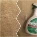 Jackie Doodles Urine Remover 24 OZ Bottle - Safely Eliminates Cat, Dog, and Human Odors - Ready to Use with Concentrate - Buy Online on SooperMarket.com