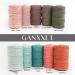 GANXXET Bay Leaf Color Macrame Cotton Cord 2mm 3 ply Recycled | 480 Feet / 160 Yards | DIY Macrame and Crafts Cord for Wall Hangings, Plant Hangers, Coasters - Buy Online on SooperMarket.com