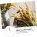 Alipis 3pcs Simulated Ears of Corn Dried Grasses Bundle Home D cor Dried Millet Home Accessories Decor Faux Plants Artificial Plant Home Decor Millet Decor Paddy Artificial Grass Iron Greenx3pcs 12X75CMx3pcs - Buy Online on SooperMarket.com