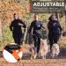 Non-stop Dogwear Freemotion Harness 5.0 | Versatile Dog Harness for All Sports | Size 8 Black/Orange - Shop Internationally - Buy Online on SooperMarket.com