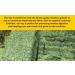 Shorefields Fresh Meadow Hay - Animal Feeding Hay Bale for Rabbits Guinea Pig Horses Hamsters Ponies - Nutritious Grasses & Wildflowers Blend - Green & Dust Free - Buy Online on SooperMarket.com
