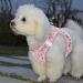 Buy Heele Anti-Pull Dog Harness for Small Dogs - Breathable Adjustable Reflective Soft & Safe - Flower Pink | International Shipping Available - Buy Online on SooperMarket.com