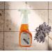 Clearly | (750ml) Professional Floor Cleaner - Ideal for Wood laminate floors Tile and Lino (1) - Buy Online on SooperMarket.com