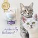 Felisept Family Comfort Relaxing Agent in Multi-Cat Household Plug-In Diffuser and Refill 45ml Starter Set - With natural catnip - Cat plug in calmer - Release tensions and reduce sustainably Starter Set (Diffuser + Refill 45ml) - Buy Online on SooperMarket.com