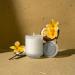 La Jolie Muse Vanilla & Coconut Scented Candle - 12.3oz Natural Soy Wax, Long Burning, Perfect Gift for Women - 80 Hours Scented Home Candle - Buy Online on SooperMarket.com