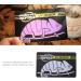 TNFEON CRAWL PET UV Test Card - Reusable UVB Sensor for Quick Measurements | Ideal for Reptiles & UVA/UVB Light Lamps - Buy Online on SooperMarket.com