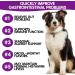 Tioueo Probiotic Digestive Chews 120pcs - Digestive Harmony, Skin Comfort, Allergy Relief, Immune Boost for Dogs - Ultimate Canine Wellbeing - Buy Online on SooperMarket.com