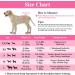Buy Dono Disposable Dog Diapers for Females - 48 Super Absorbent Leak-Proof Pants for Heat & Incontinence - Sizes XXS to L - Buy Online on SooperMarket.com