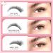 Parriparri DIY Lash Extension Kit - 120Pcs Individual Lashes with Bond and Seal | Cluster Lashes Applicator | Volume Eyelash Extensions Kit for False Eyelashes DIY at Home (8-16MM MIX) - Buy Online on SooperMarket.com