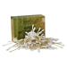 Cleenbo - Bamboo Wattstabchen 1 Series Natural Natural - Soft RecycleBare Wood Cleaning Drings - Sustainable Packaging - Tailors - Plastics Set - Cotton Watt Robs 200 St.