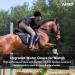 Amoy Stretch Horse Riding Gloves for Women - Breathable Black Mittens, Size Medium - Buy Online on SooperMarket.com