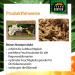 Buy Terra Exotica Sphagnum Moss (3x1 Kg) - Premium Peat Moss for Garden Houseplants & Terrariums - International Shipping Available - Buy Online on SooperMarket.com