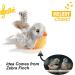 Vealind Interactive Cat Toy 2 Pack - Electronic Bird & Mouse with Sound | Ideal for Cats | Best Quality Pet Toys - Buy Online on SooperMarket.com