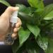 4Pcs 100ml Spray Bottle Empty Plastic Fine Mist Travel Atomiser Set with 2 Funnels & 12 Labels - Clear Refillable & Reusable Bottle Toiletries Liquid Containers for Cosmetic Make-up by JamHooDirect - Buy Online on SooperMarket.com