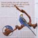 Kathson Parrot Perch Stand - Natural Wild Grape Paw Grinding Pole for Parakeet, Cockatiels, Budgies, Conure, Lovebirds | Bird Cage Accessories - Buy Online on SooperMarket.com