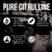 Herba L-Citrulline Capsules 750mg 180 Vegetable Capsules | 3 000mg Per Serving | Pure L Citrulline Nitric Oxide Supplement | NPN from Health Canada | Made & 3rd Party Tested in Canada - Buy Online on SooperMarket.com