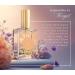 Shelley Kyle Sorella Perfume with Floral Scent Combination of Fresh Tuberose Red Roses Vintage Gardenia and Violet Leaves Perfect for Everyday Wear 30 ml Sorella 1.01 Fl Oz (Pack of 1) - Buy Online on SooperMarket.com