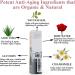 Organic Rosewater Facial Toner for Aging & Acne Prone Skin | Witch Hazel & Aloe Vera | Oil Free Moisturizing Pure Rose Water Spray - Buy Online on SooperMarket.com