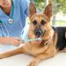 2 Pieces Soft Silicone 360-Degree Dog Toothbrush Set | Dental Care for Pets & Cats | Oral Hygiene Deep Cleaning - Buy Online on SooperMarket.com