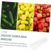 SUPVOX Fruit Shaping Accessories 4 Pcs Fruit and Vegetable Shaping Modeling Nursery Plant Tools - Buy Online on SooperMarket.com