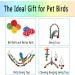 MQUPIN Bird Parrots Toys 14-Pack Cage Toys Hanging Swing Climbing Shredding Perches Ladders Sepak Takraw Bell Frosting Stick Parrot Set Toy for Medium Budgie Finches Cockatiels Conures African Parrot S-6.9inch - Buy Online on SooperMarket.com