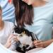Redreo Dog & Cat Comb - Wooden Double Ridge Brush for Long Hair | Pet Care Comb for Flea Removal - Buy Online on SooperMarket.com