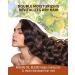 2PCS Shampoo Bars for All Hair Types | Natural Vegan Ingredients | Nourishing and pH Balanced | Plastic Free Eco Friendly | Pack of 2 - Buy Online on SooperMarket.com