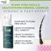 HairMD Transplant Clinical Repair Serum - 60ml Hair Regrowth Serum | Prevents Hair Loss, Stimulates New Growth | Fast & Effective Formula - Buy Online on SooperMarket.com