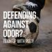 PEET Shoe & Boot Deodorizer Module - Sanitize and Deodorize Footwear - Buy Online on SooperMarket.com