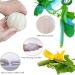 Natural Loofah Exfoliating Facial Pads - 10 Pack | Face Scrubber for Men & Women | Bath Spa Cleansing | 3.15 Inches Dia - Buy Online on SooperMarket.com