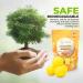 60-Count Lemon Sink Garbage Disposal & Drain Cleaner Pods - Freshener & Deodorizer for Odor Control - Buy Online on SooperMarket.com