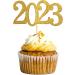 48pcs 2023 Graduation Cupcake Toppers Baking Decoration Exquisite Grad Cap Set Appetizer Picks For Graduation Party Graduation Toppers 2023 - Buy Online on SooperMarket.com