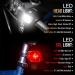 SAMLITE LED Bike Light Set: Bright Headlight for Kids & Adults, Free Tail Light, Water Resistant, Easy Install, Multiple Modes - Cycling Safety - Buy Online on SooperMarket.com