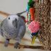 Wellensing Colorful Parrot Swing Toy | Natural Safe Wood Chew Block for All Birds (Red) - Buy Online on SooperMarket.com
