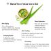 WELCOS Kwailnara Aloe Vera Gel - 98% Pure Moisture Soothing Gel for Face Body Hands & Hair | California Grown Korean Skin Care (16.91 Fl oz - Buy Online on SooperMarket.com