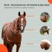 RL24 Eczema Ceiling for Horses | Light Brown | Protective Flying Sheet with Neck & Abdomen | Fine-Meshed Double Closure & Leg Cords | 115cm - Buy Online on SooperMarket.com