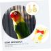 PopetPop 10 Pack Parrot Flight Suits - Ideal Diapers for Birds | International Shipping Available - Buy Online on SooperMarket.com