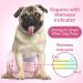 Buy Flying Paws Disposable Dog Diapers - Adjustable XS (20 Pack) for Dogs & Cats Perfect for Potty Training | International Shipping Available - Buy Online on SooperMarket.com