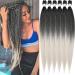 Xusuperb Lang Pre Stretched Braiding Hair ombre Silver Gray 30 inch Easy Braids Extensions Black Gray Art Hair For Inclined 6 Packs Soft Knotless Yaki-Textur Cubs Hair extensions (T1b/Gray) 76 cm (6-pack) T1b/gray#