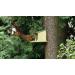 Squirrel Nut Feeder Zinc Roof Pinewood FSC 100% Wildlife Garden - Buy Online on SooperMarket.com