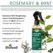 Difeel Rosemary & Mint Strengthening Leave-In Spray w/ Biotin 8 oz - Natural Hair Growth Treatment - Buy Online on SooperMarket.com