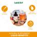 Vitamin C 250ml Immune System Support - Liquid Formula for Maximum Absorption - for Kids and Adults - Great Taste - Vegan - Non-GMO Gluten Free No Sugar Added - Made in Canada (Pack of 2) 250 ml (Pack of 2) - Buy Online on SooperMarket.com