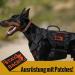 Oneigris Hi-Vis Reflective Dog Patches - Orange/Black Laser-Cut Design for Enhanced Visibility | International Shipping Available - Buy Online on SooperMarket.com