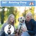 Short Dog Leash with Padded Handle | Reflective Nylon for All Dog Sizes | 32cm Training Leash - Buy Online on SooperMarket.com