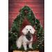 Lionet Paws Christmas Bandana for Dogs | Headscarf & Trochcock for Small Medium & Large Dogs - 1 Pack - Gr nkelk - Buy Online on SooperMarket.com