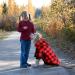MTLIEPTE Red Plaid Dog Hoodie Sweater with Hat & Pocket XL - Pet Clothes - Buy Online on SooperMarket.com